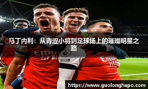 马丁内利：从青涩小将到足球场上的璀璨明星之路